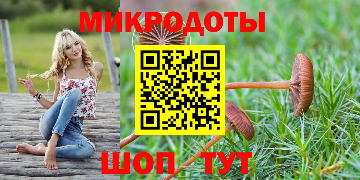 Галлюциногенные грибы Psilocybe Белово